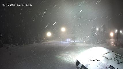 Grouse Mountain: Snow Cam (grousemountain.com)