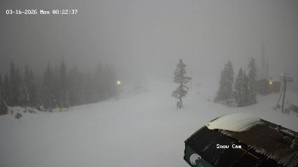 Grouse Mountain: Snow Cam (grousemountain.com)