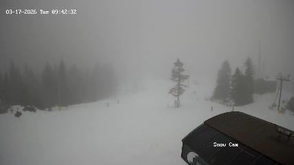 Grouse Mountain: Snow Cam (grousemountain.com)
