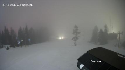 Grouse Mountain: Snow Cam (grousemountain.com)