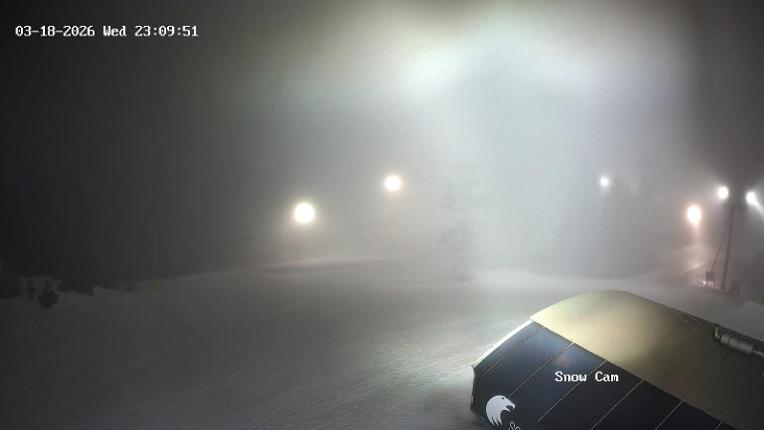 Webcam Grouse Mountain: Snow Cam