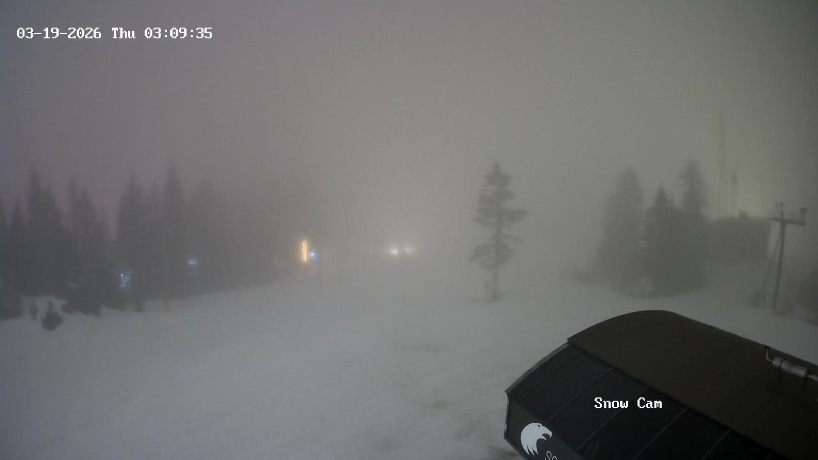 Webcam Grouse Mountain: Snow Cam