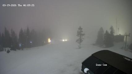 Grouse Mountain: Snow Cam (grousemountain.com)
