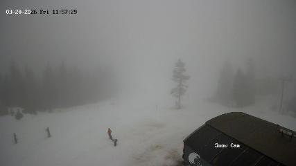 Grouse Mountain: Snow Cam (grousemountain.com)