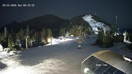 Grouse Mountain: Snow Cam (grousemountain.com)