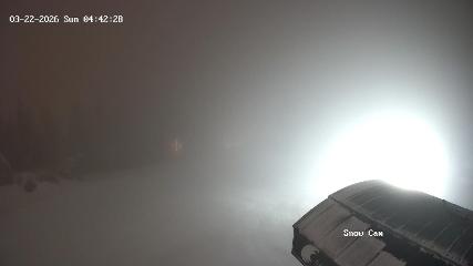 Grouse Mountain: Snow Cam (grousemountain.com)
