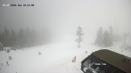 Grouse Mountain: Snow Cam (grousemountain.com)