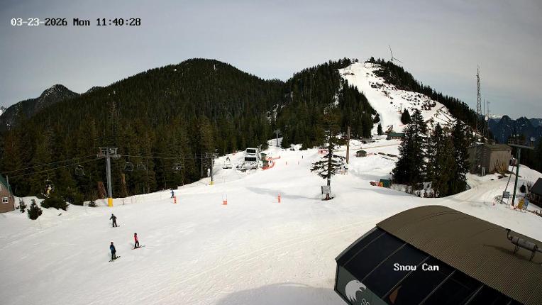 Webcam Grouse Mountain: Snow Cam