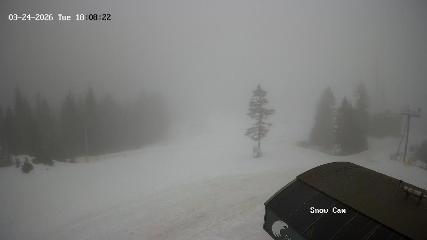 Grouse Mountain: Snow Cam (grousemountain.com)