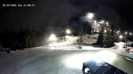 Grouse Mountain: Snow Cam (grousemountain.com)