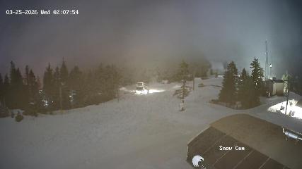 Grouse Mountain: Snow Cam (grousemountain.com)