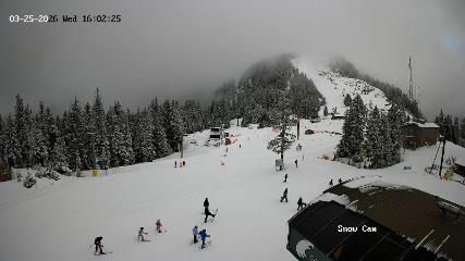 Grouse Mountain: Snow Cam (grousemountain.com)