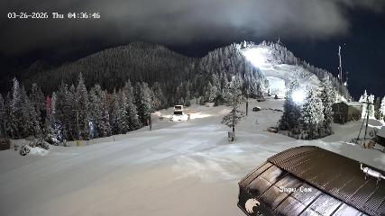 Grouse Mountain: Snow Cam (grousemountain.com)