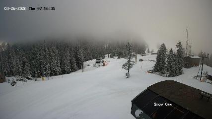 Grouse Mountain: Snow Cam (grousemountain.com)