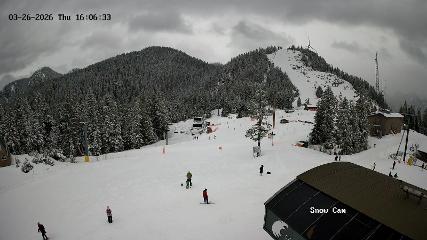 Grouse Mountain: Snow Cam (grousemountain.com)