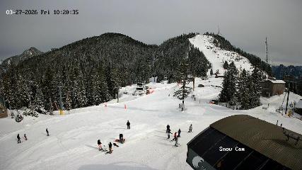 Grouse Mountain: Snow Cam (grousemountain.com)