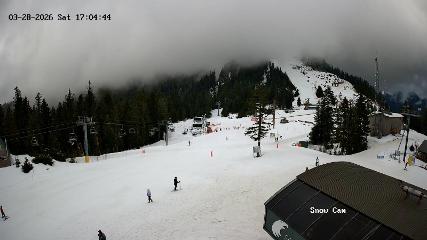 Grouse Mountain: Snow Cam (grousemountain.com)