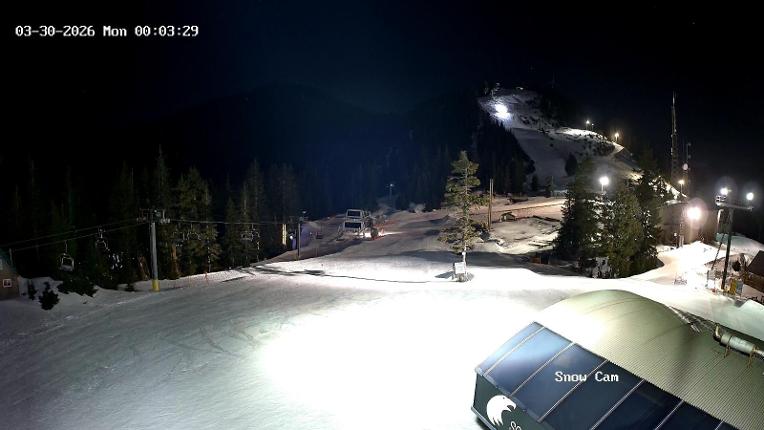 Webcam Grouse Mountain: Snow Cam