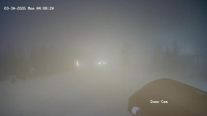 Grouse Mountain webcam