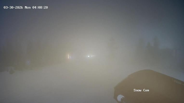 Webcam Grouse Mountain: Snow Cam