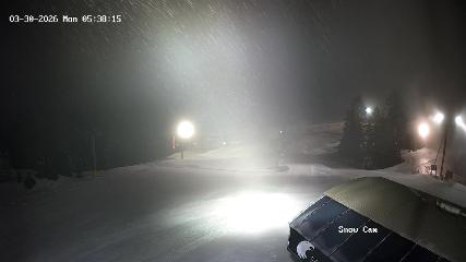 Grouse Mountain webcam