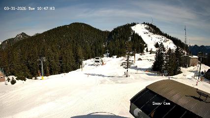 Grouse Mountain: Snow Cam (grousemountain.com)