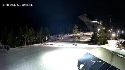 Grouse Mountain: Snow Cam (grousemountain.com)