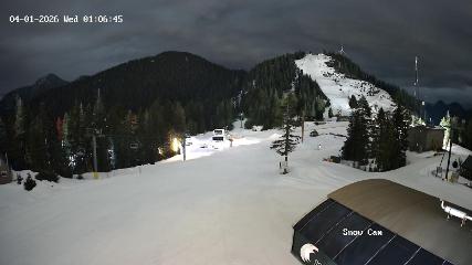 Grouse Mountain: Snow Cam (grousemountain.com)