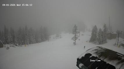 Grouse Mountain: Snow Cam (grousemountain.com)