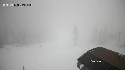 Grouse Mountain: Snow Cam (grousemountain.com)