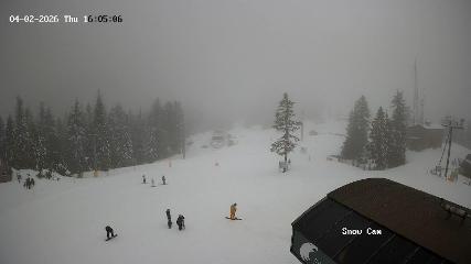 Grouse Mountain: Snow Cam (grousemountain.com)