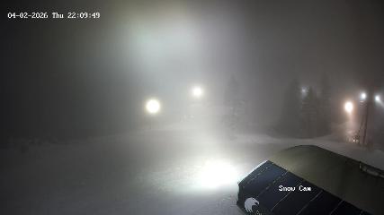 Grouse Mountain webcam