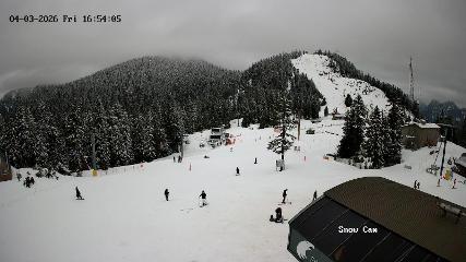 Grouse Mountain: Snow Cam (grousemountain.com)