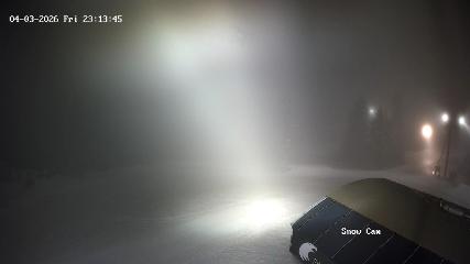 Grouse Mountain: Snow Cam (grousemountain.com)
