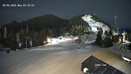 Grouse Mountain webcam
