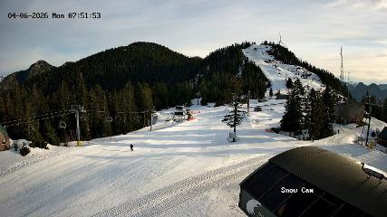 Grouse Mountain: Snow Cam (grousemountain.com)