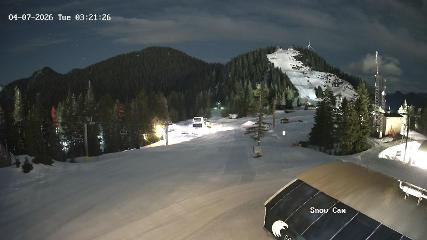 Grouse Mountain: Snow Cam (grousemountain.com)