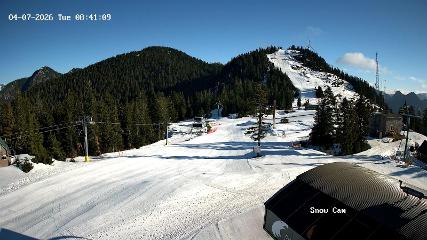 Grouse Mountain: Snow Cam (grousemountain.com)