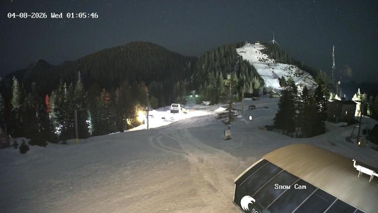 Webcam Grouse Mountain: Snow Cam