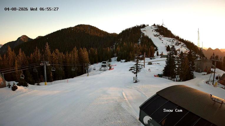Webcam Grouse Mountain: Snow Cam