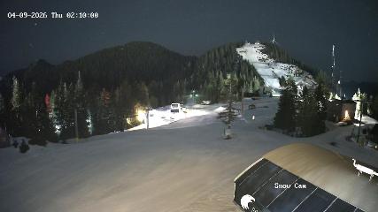 Grouse Mountain: Snow Cam (grousemountain.com)