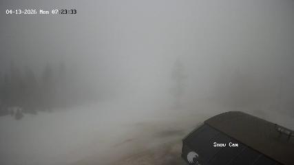 Grouse Mountain: Snow Cam (grousemountain.com)