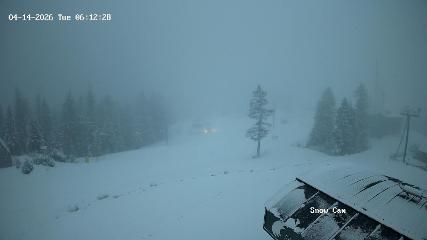 Grouse Mountain: Snow Cam (grousemountain.com)