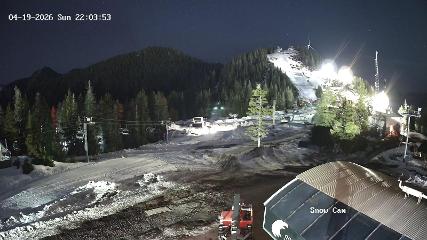 Grouse Mountain webcam