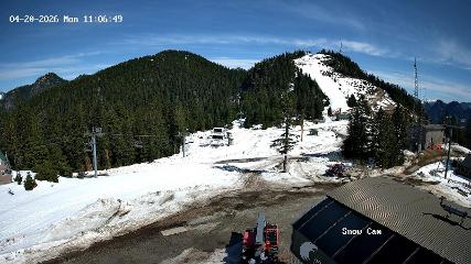 Grouse Mountain: Snow Cam (grousemountain.com)