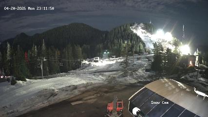 Grouse Mountain: Snow Cam (grousemountain.com)