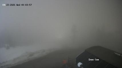 Grouse Mountain: Snow Cam (grousemountain.com)