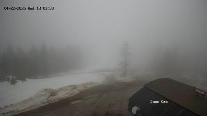 Grouse Mountain: Snow Cam (grousemountain.com)