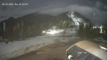 Grouse Mountain webcam