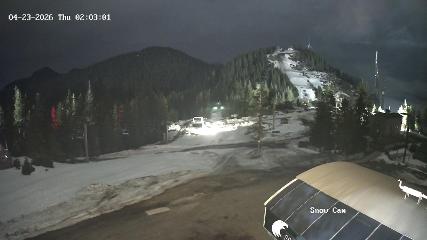 Grouse Mountain webcam